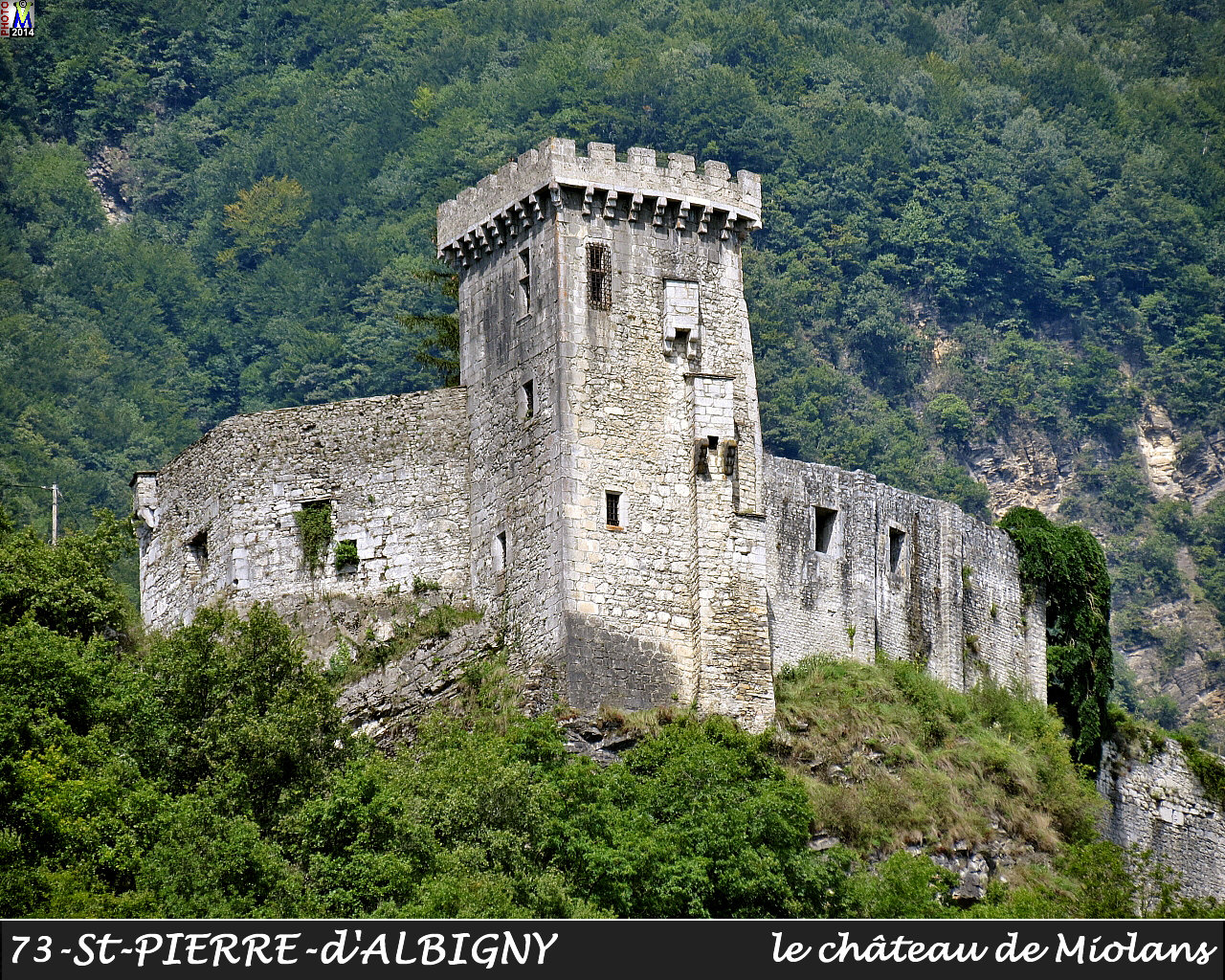 73StPIERRE-ALBIGNY_chateau_110.jpg
