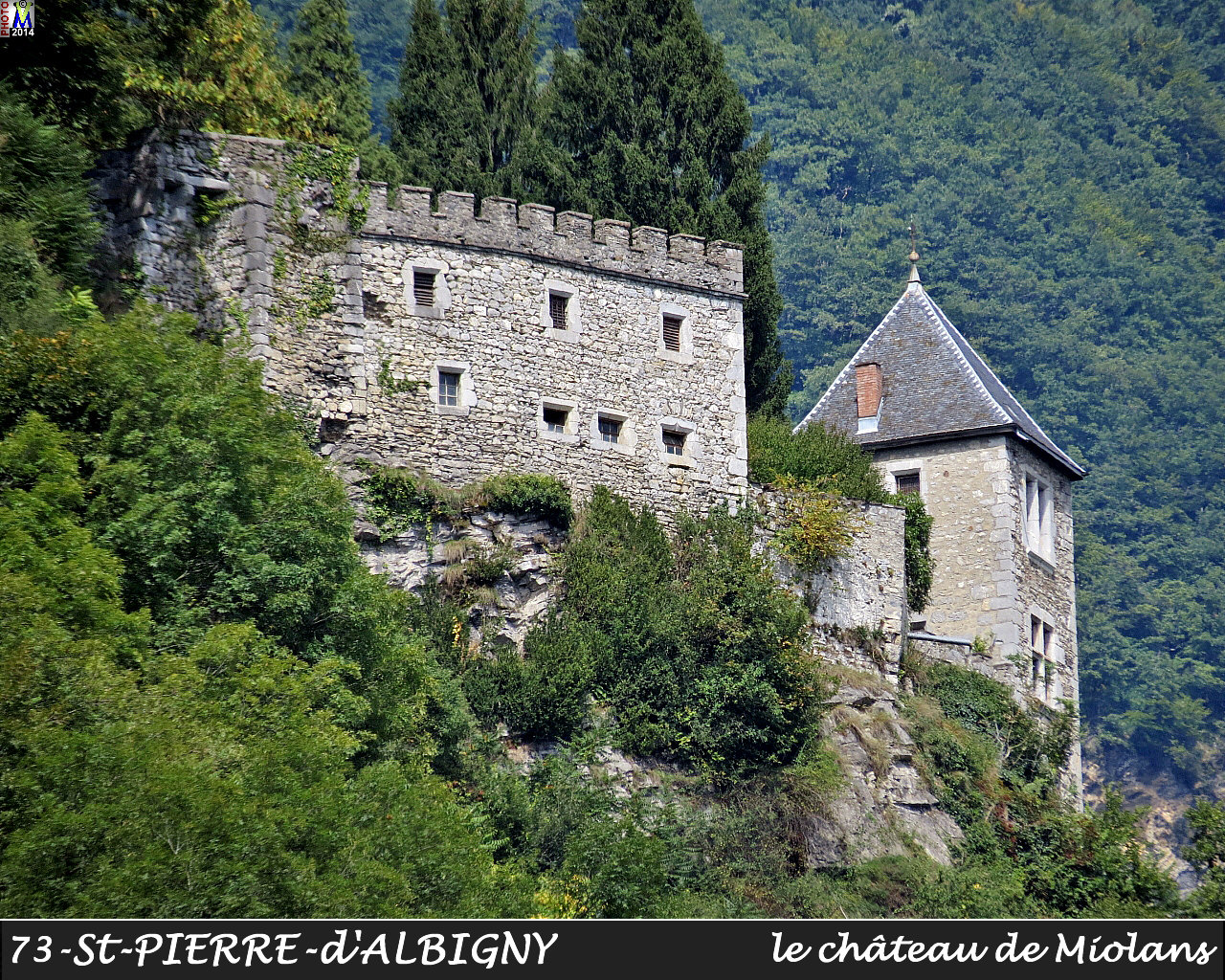 73StPIERRE-ALBIGNY_chateau_114.jpg