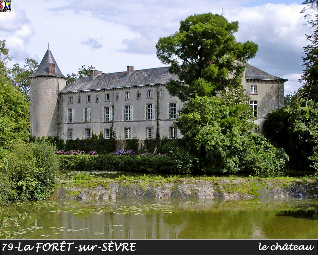 79FORET-SEVRE_chateau_104.jpg