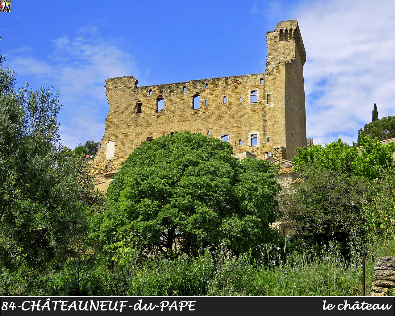 84CHATEAUNEUF-PAPE_chateau_100.jpg