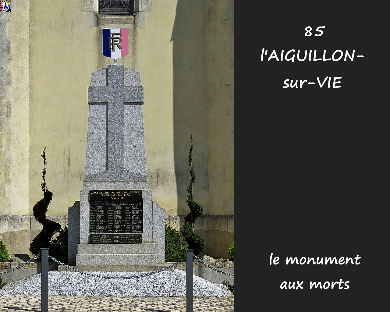 85AIGUILLON-VIE_morts_1000.jpg
