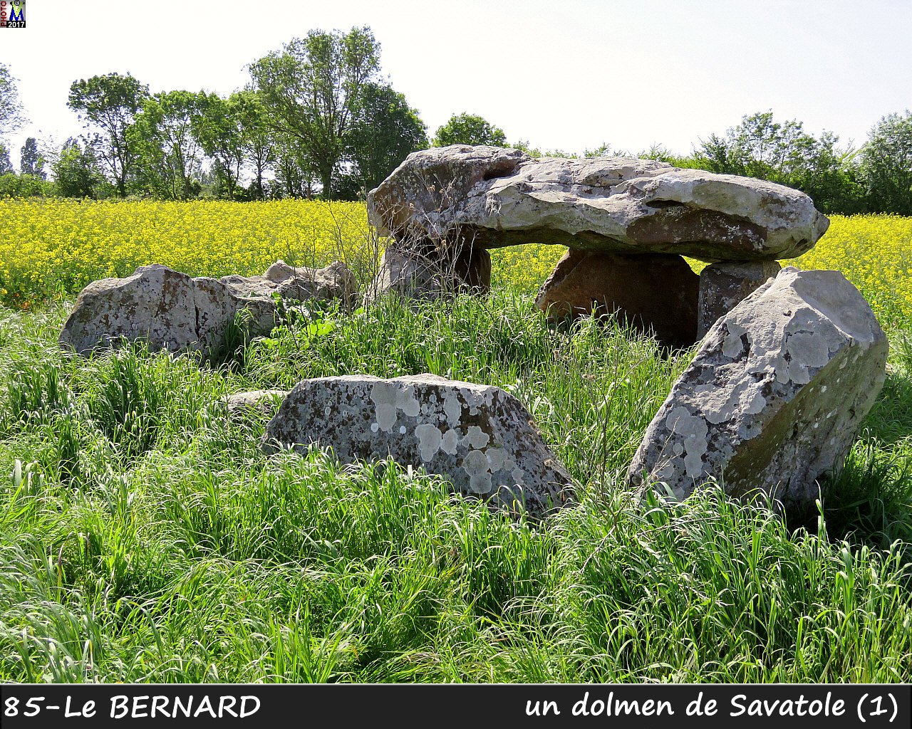 85BERNARD_dolmen_1104.jpg