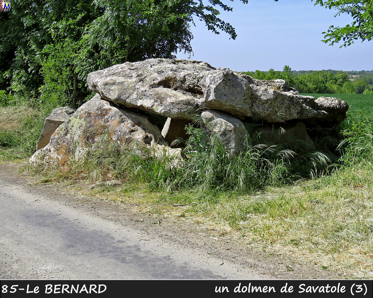 85BERNARD_dolmen_1120.jpg