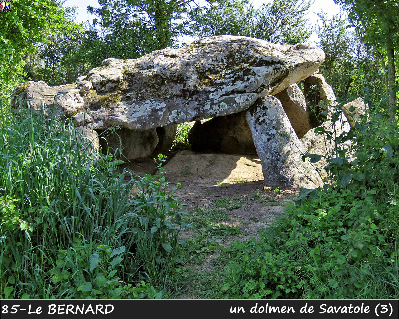 85BERNARD_dolmen_1124.jpg