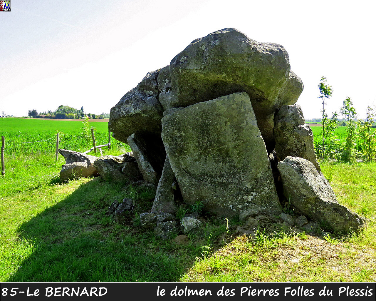85BERNARD_dolmen_1302.jpg