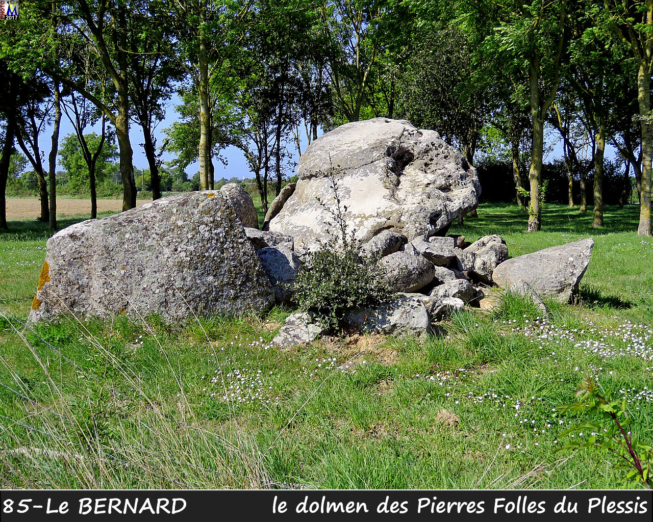 85BERNARD_dolmen_1304.jpg