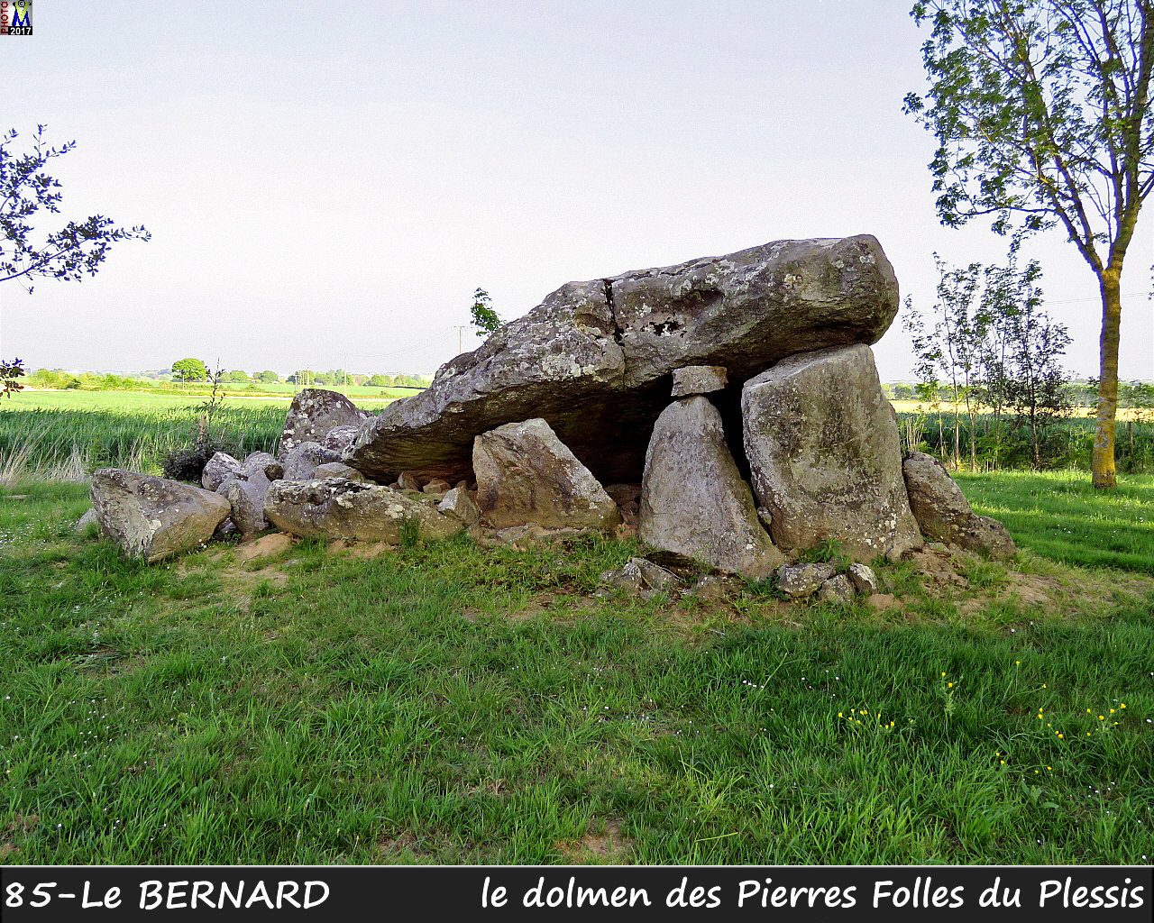 85BERNARD_dolmen_1306.jpg
