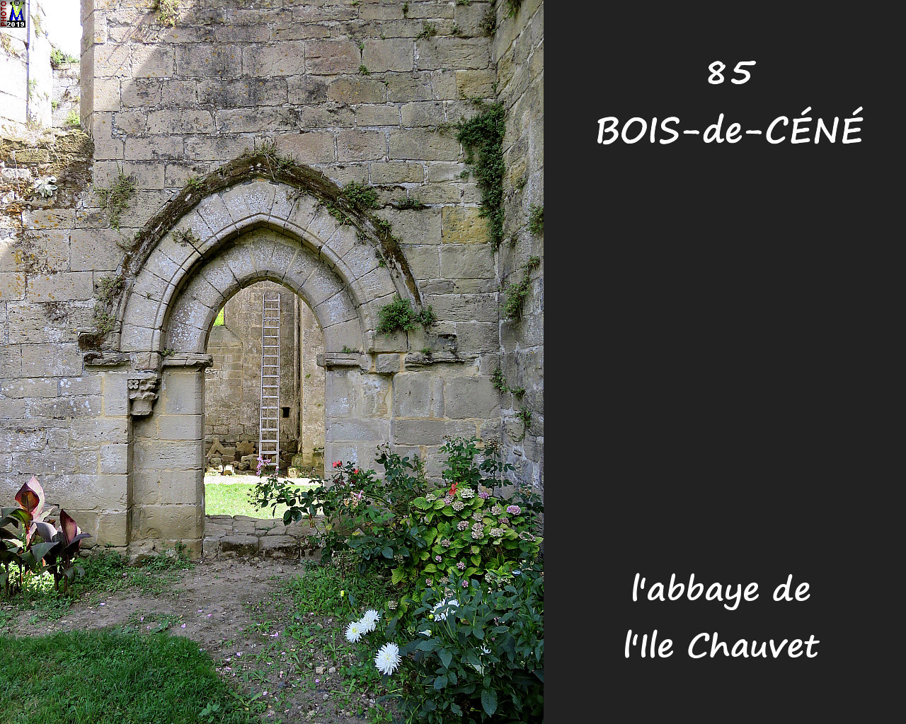 85BOIS-CENE_abbaye_142.jpg