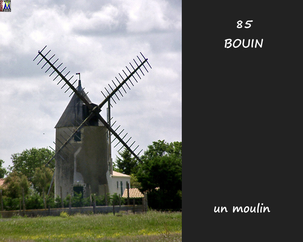 85BOUIN_moulin_100.jpg