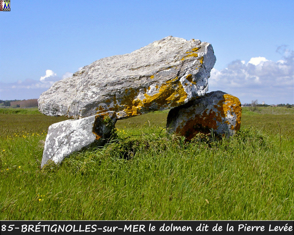 85BRETIGNOLLES-MER_dolmen_100.jpg