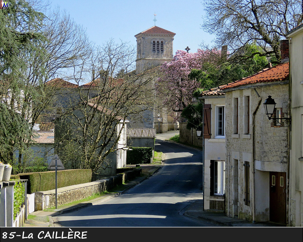 85CAILLERE-ST-St-HILAIRE_1000.jpg