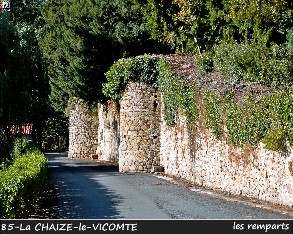 85CHAIZE-VICOMTE_chateau_104.jpg