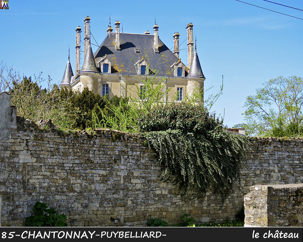 85CHANTONNAY-PUYBELLIARD_chateau_1004.jpg