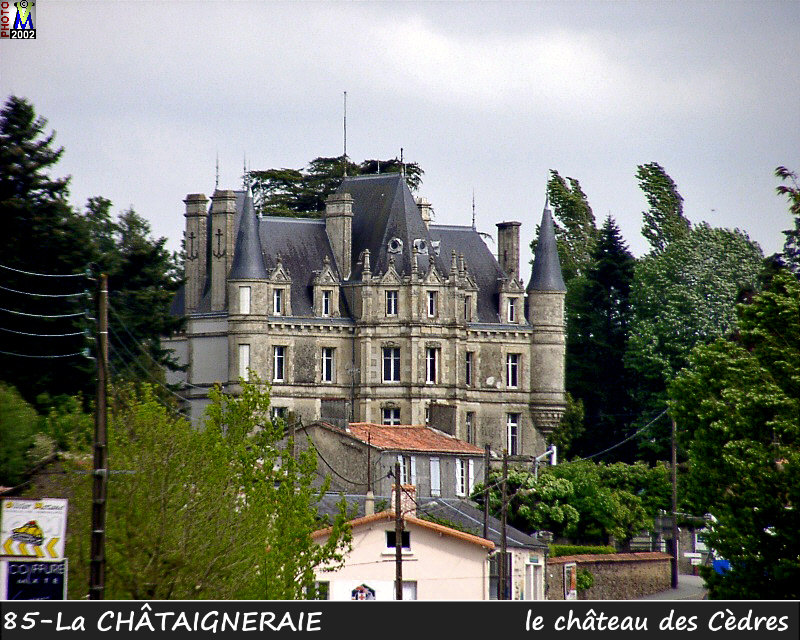85CHATAIGNERAIE_chateau2_100.jpg