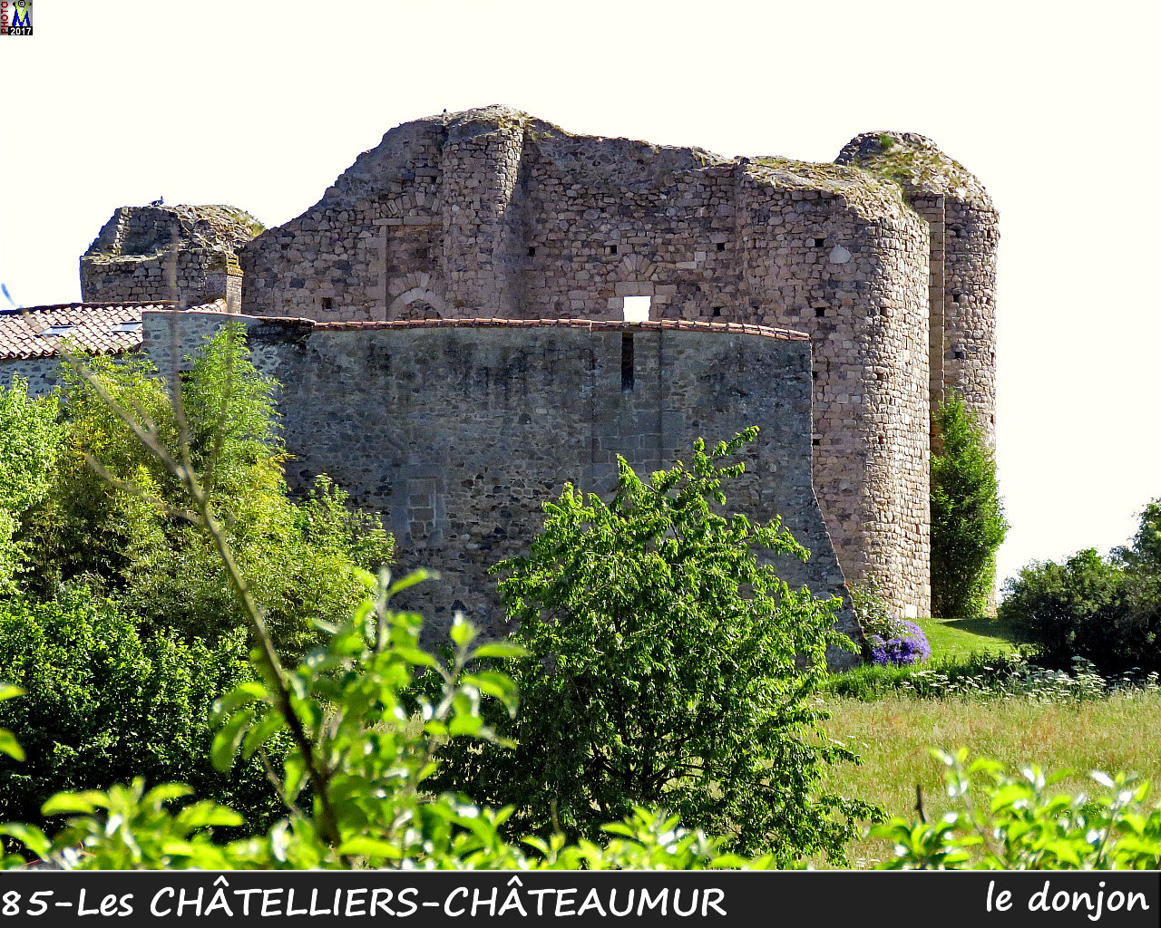 85CHATELLIERS-CHATEAUMUR_chateau_1006.jpg