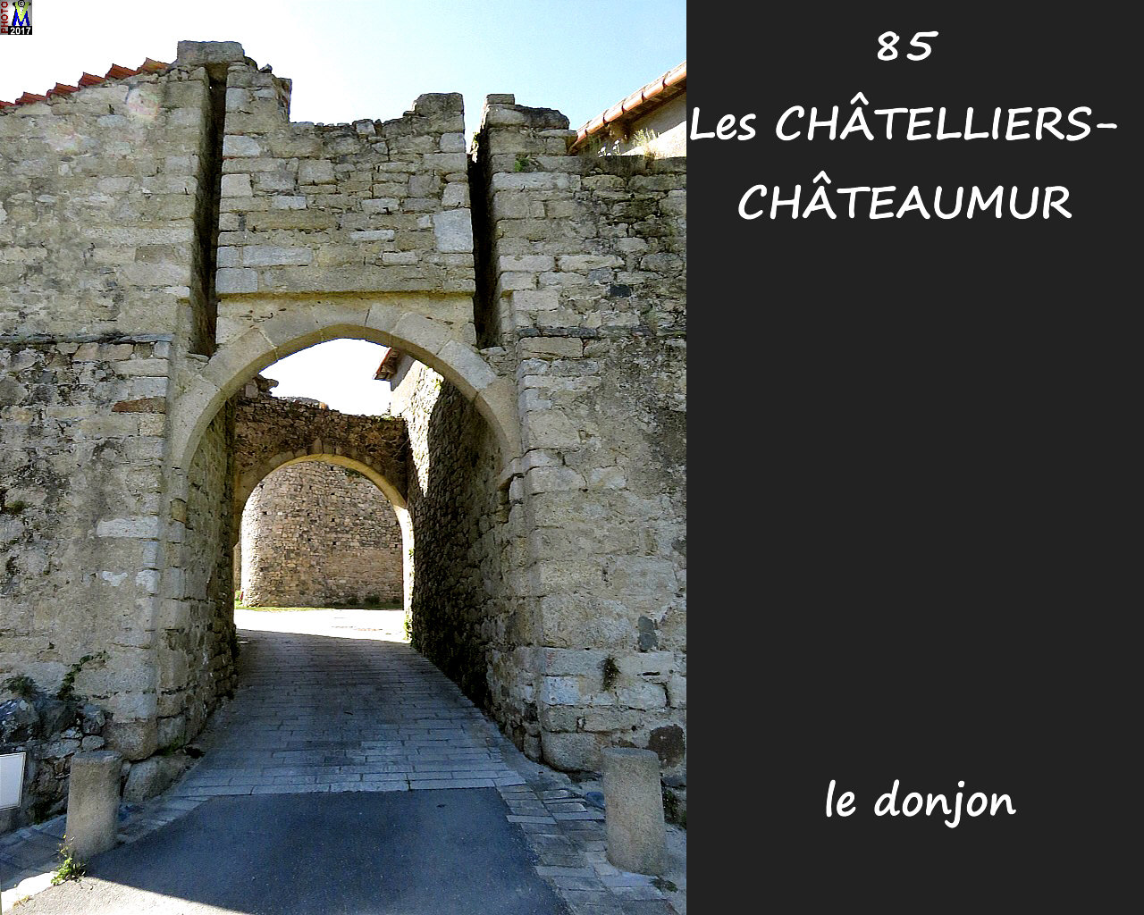 85CHATELLIERS-CHATEAUMUR_chateau_1022.jpg