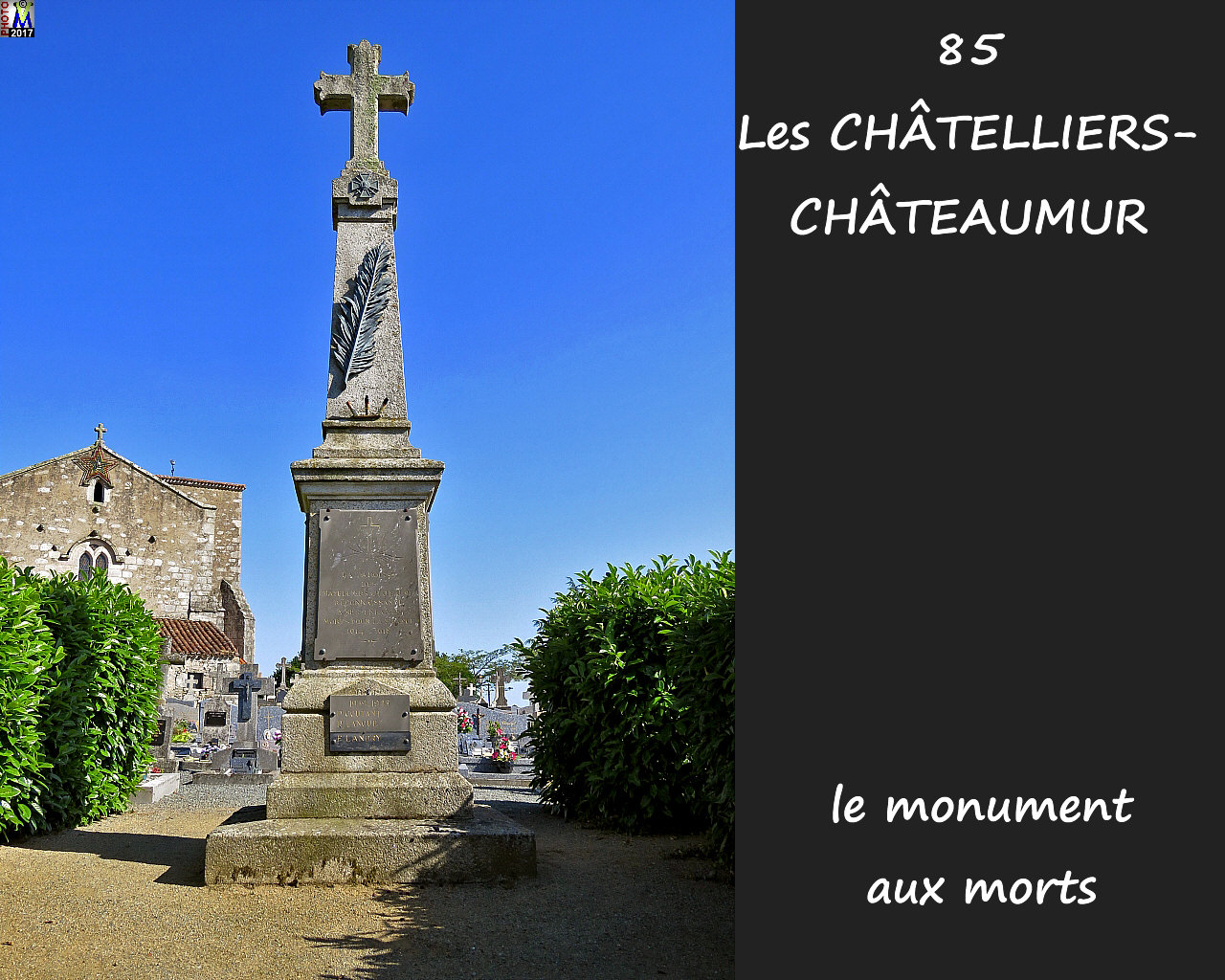 85CHATELLIERS-CHATEAUMUR_morts_1000.jpg
