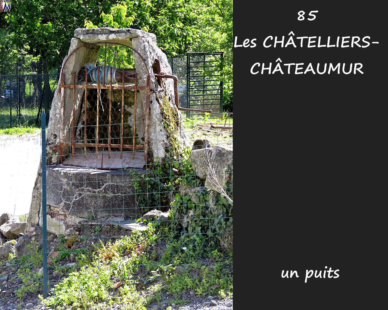 85CHATELLIERS-CHATEAUMUR_puits_1010.jpg