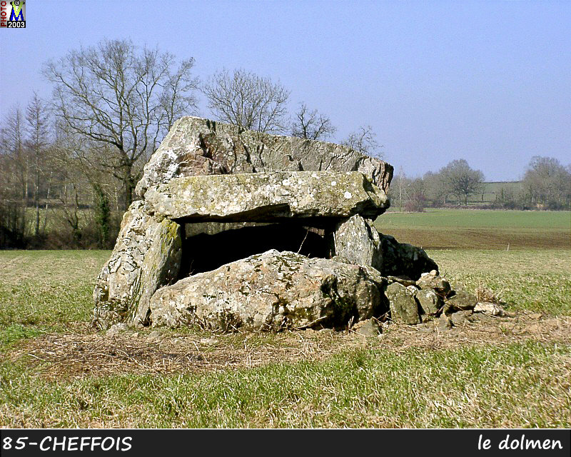 85CHEFFOIS_dolmen_100.jpg