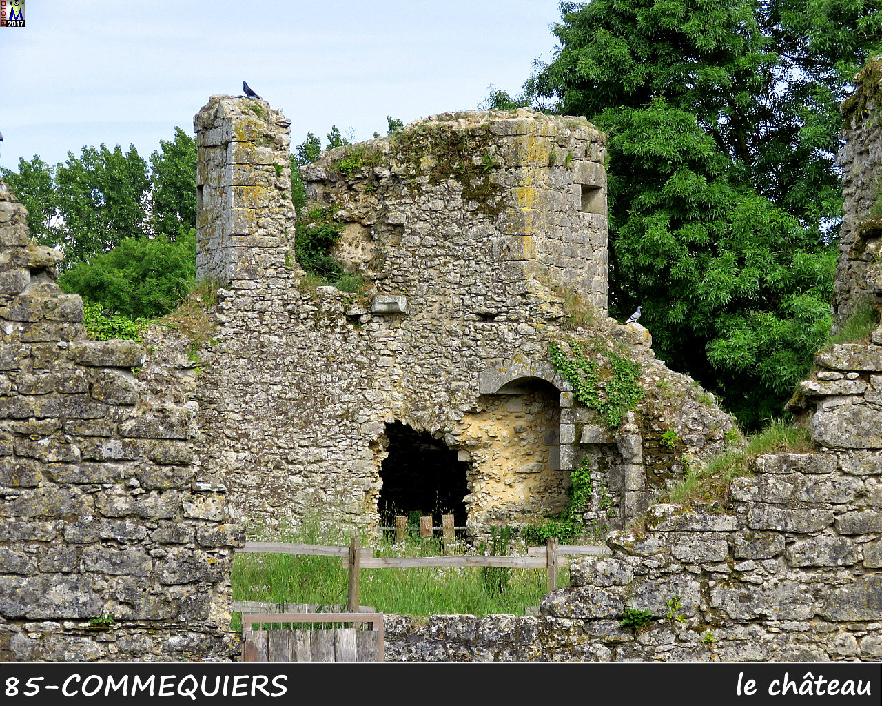 85COMMEQUIERS_chateau_1020.jpg