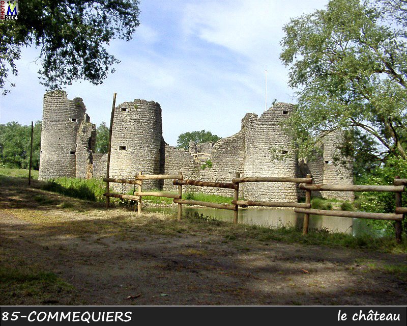 85COMMEQUIERS_chateau_110.jpg