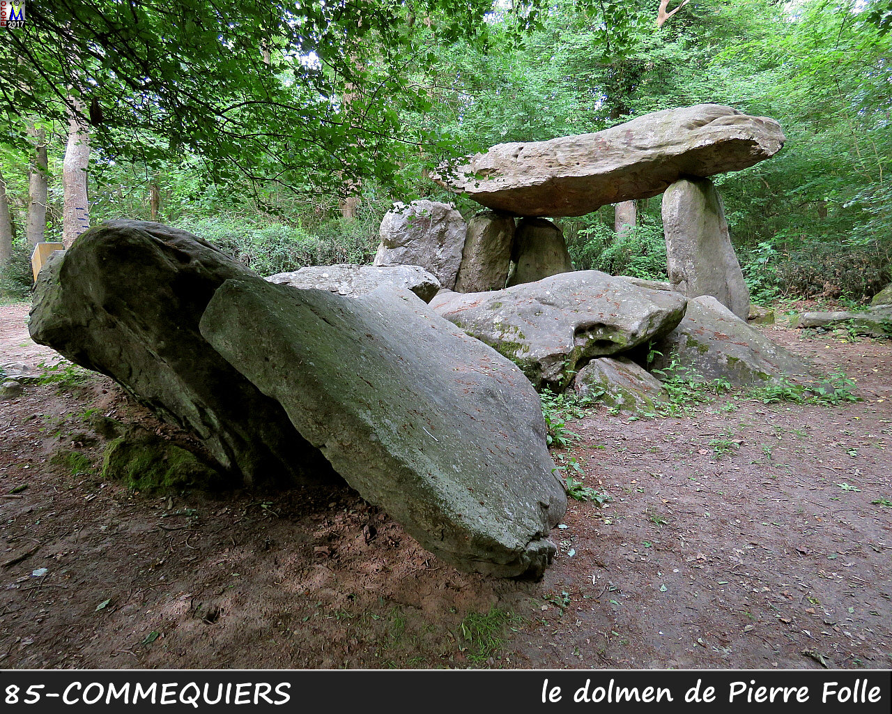 85COMMEQUIERS_dolmen_1004.jpg