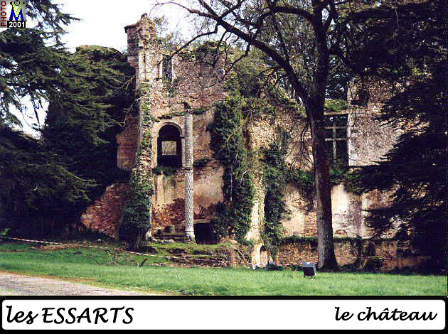 85ESSARTS_chateau_102.jpg