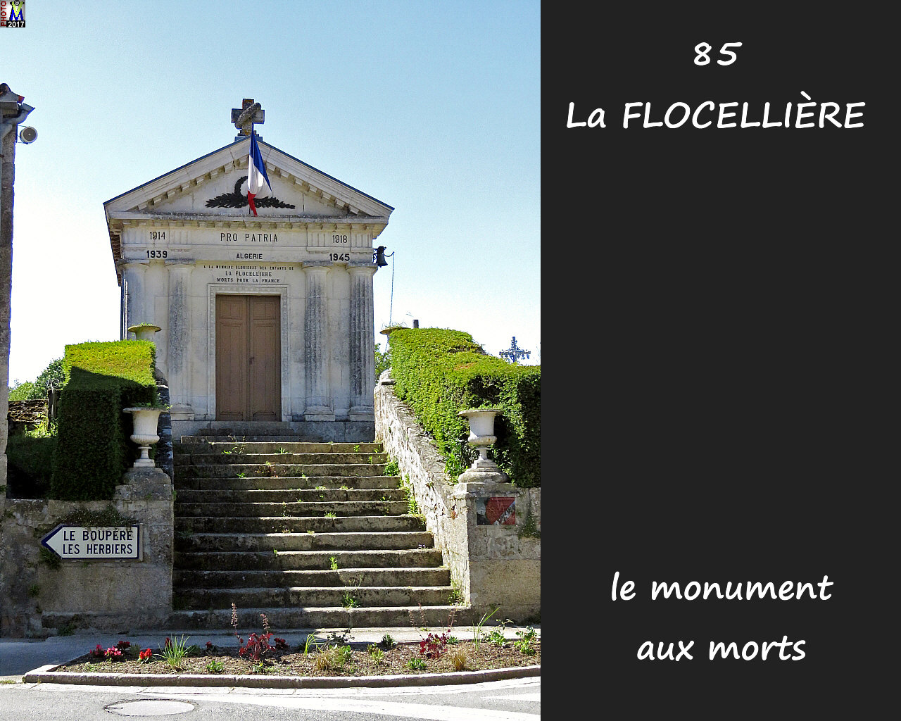 85FLOCELLIERE_morts_1000.jpg