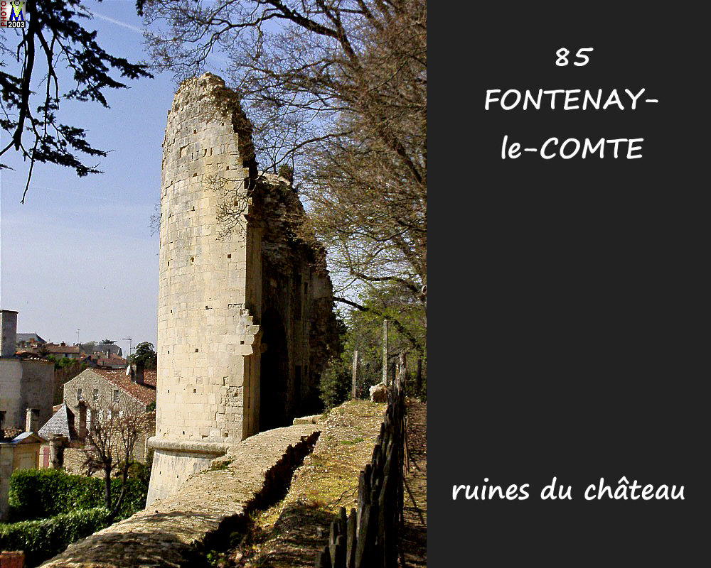 85FONTENAY-COMTE_chateau1_106.jpg