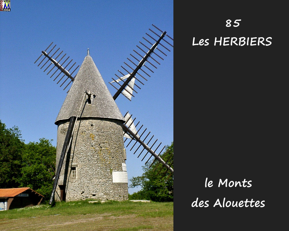 85HERBIERS-ALOUETTES_moulins_104.jpg