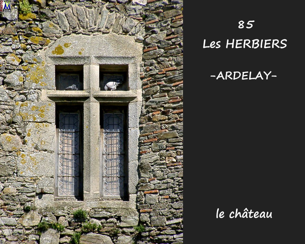 85HERBIERS-ARDELAY_chateau_108.jpg