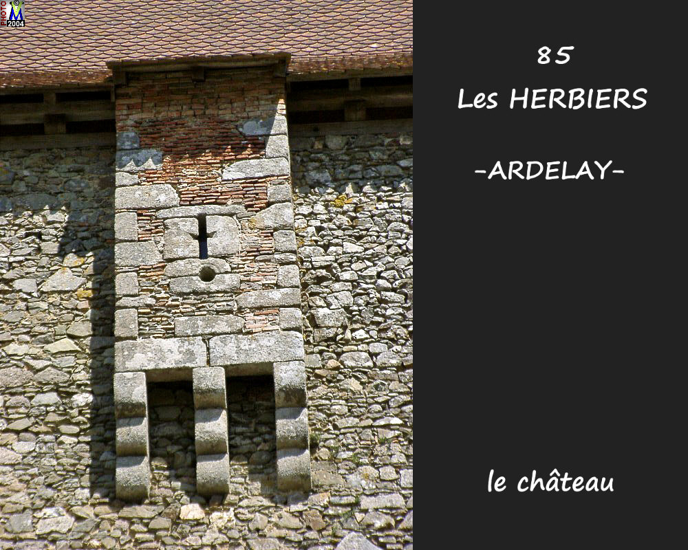 85HERBIERS-ARDELAY_chateau_110.jpg