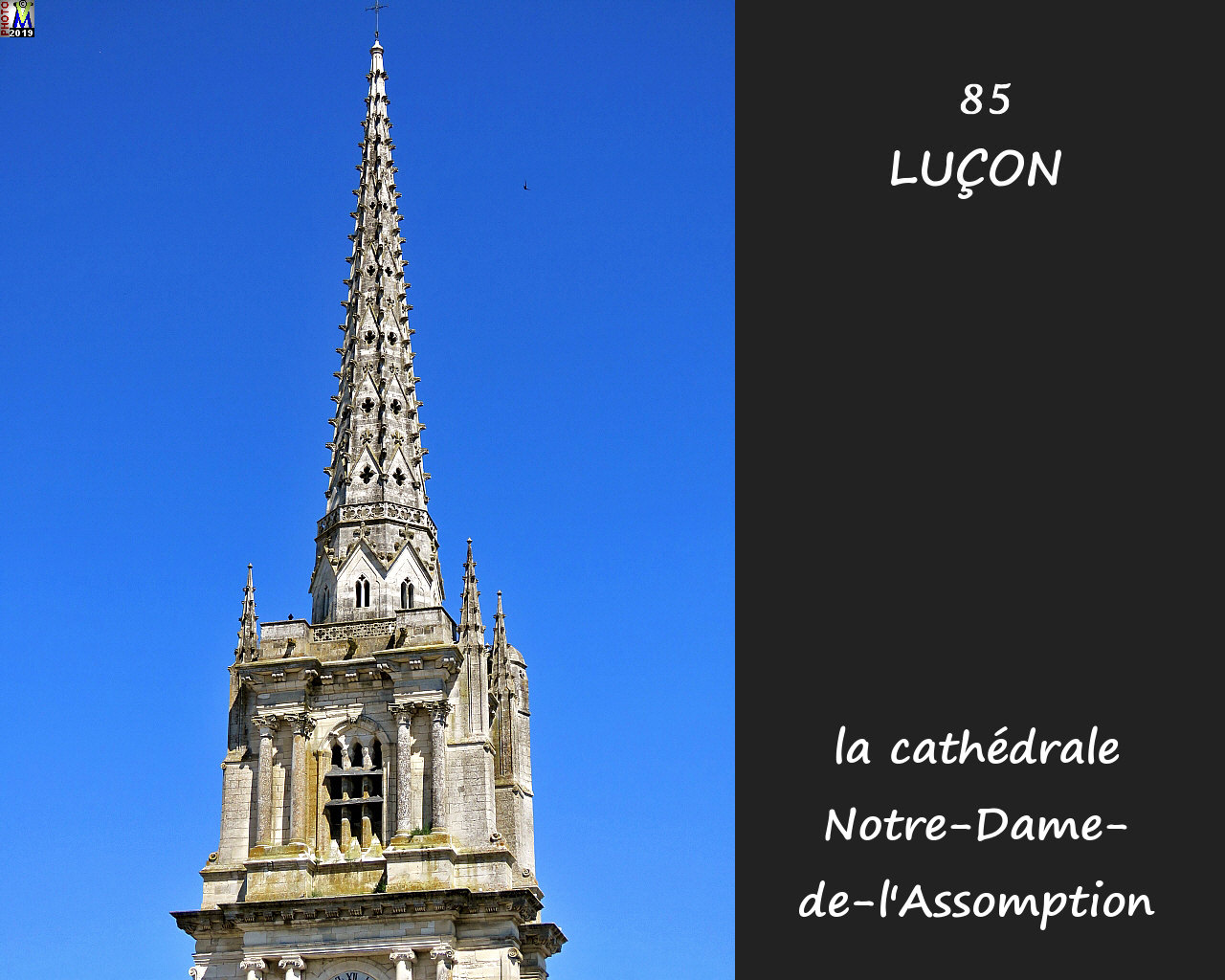 85LUCON_cathedrale_114.jpg