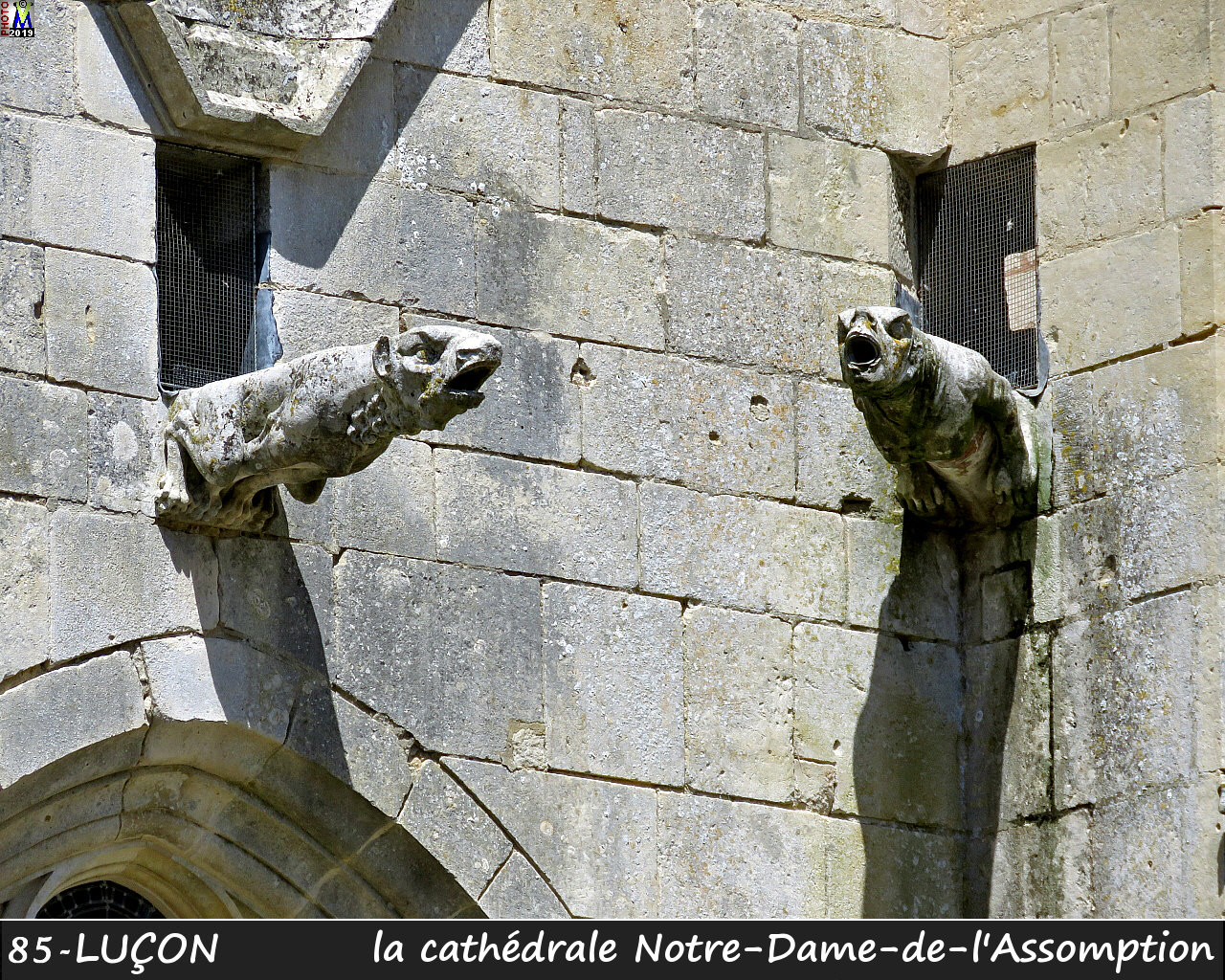 85LUCON_cathedrale_130.jpg