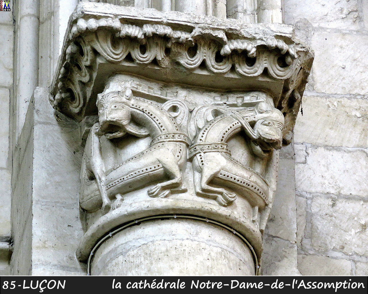 85LUCON_cathedrale_218.jpg