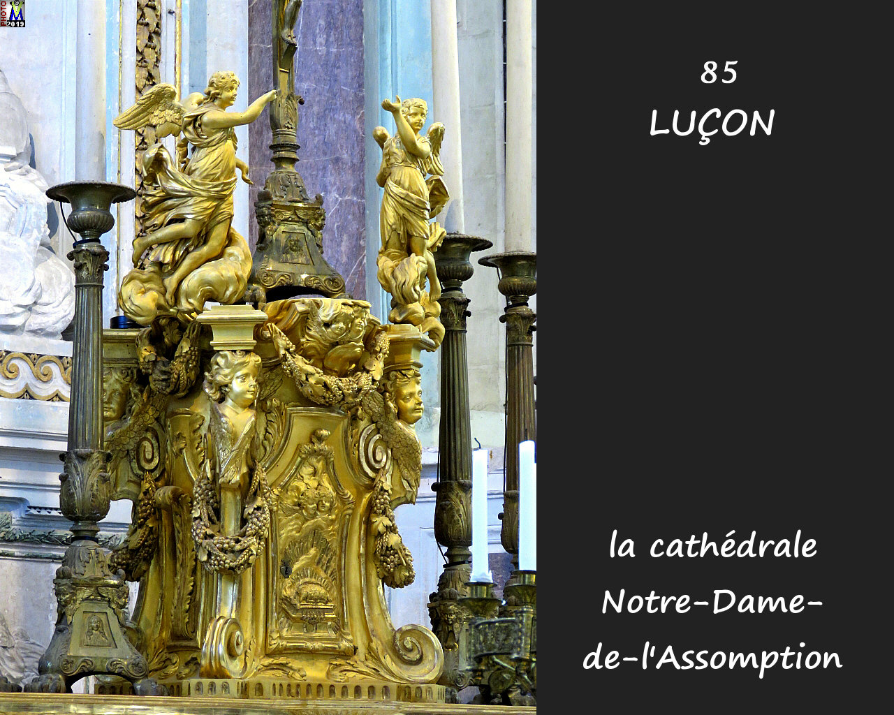 85LUCON_cathedrale_240.jpg