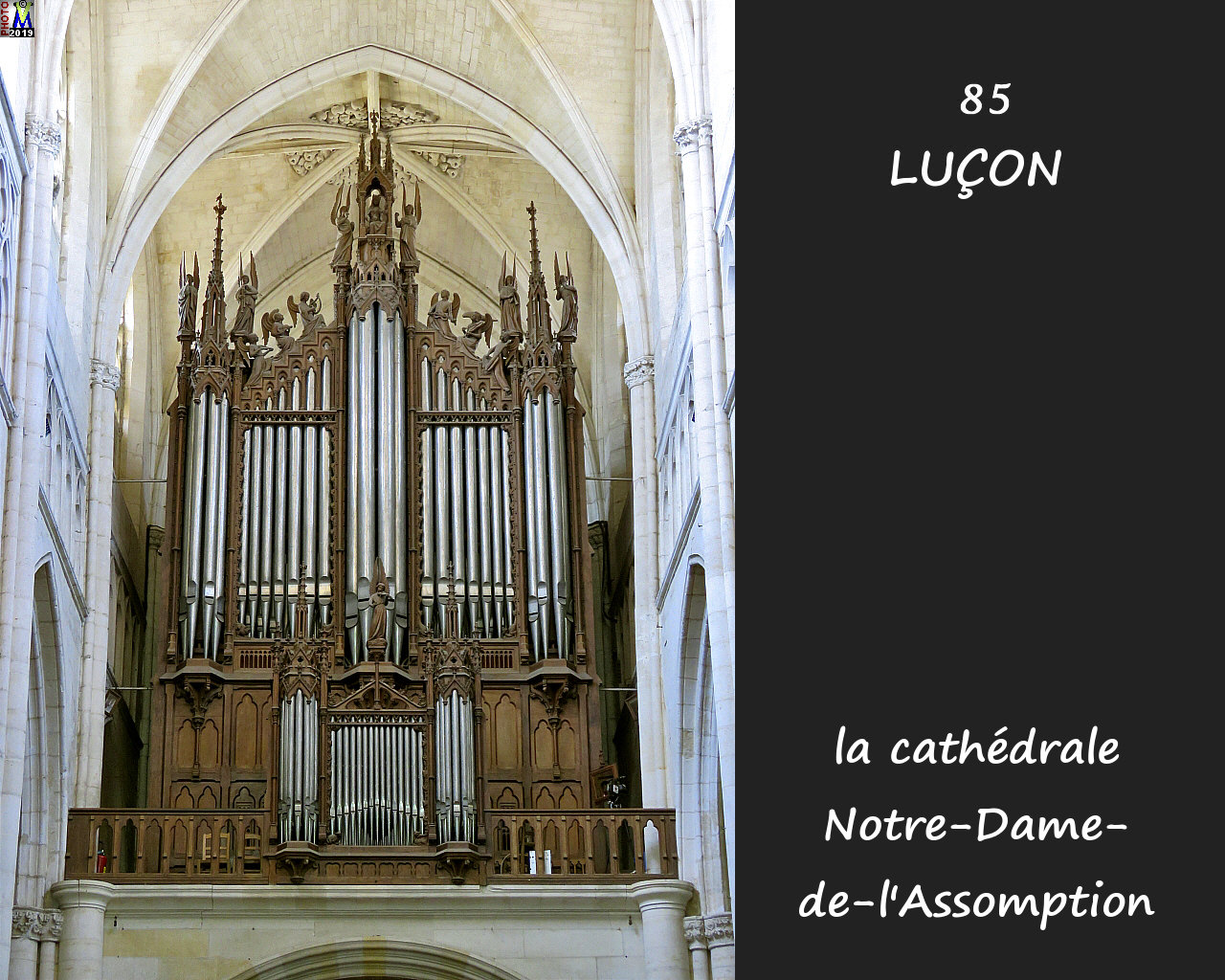 85LUCON_cathedrale_292.jpg