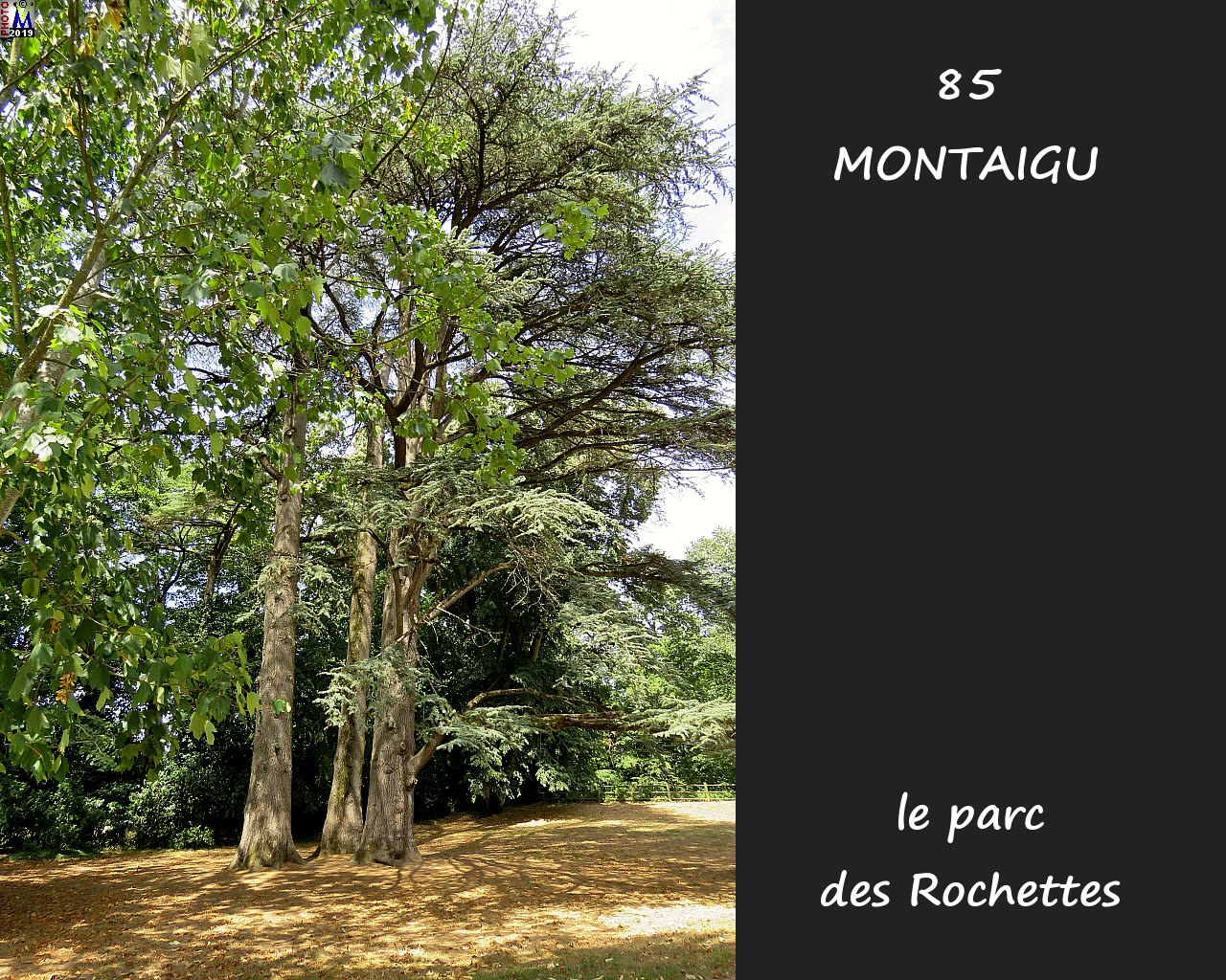 85MONTAIGU_Rochettes_1012.jpg