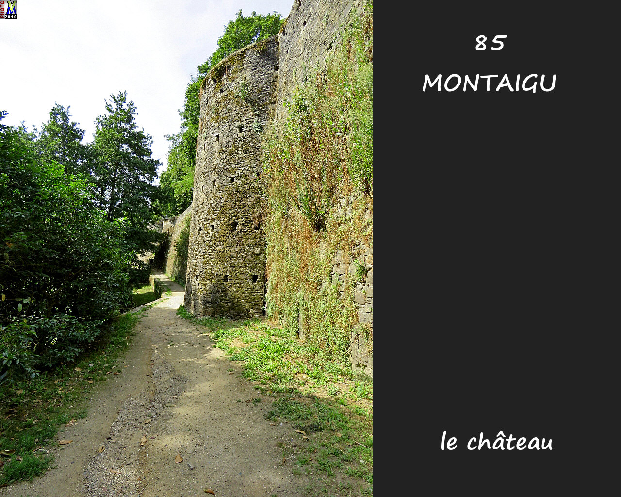 85MONTAIGU_chateau_1034.jpg