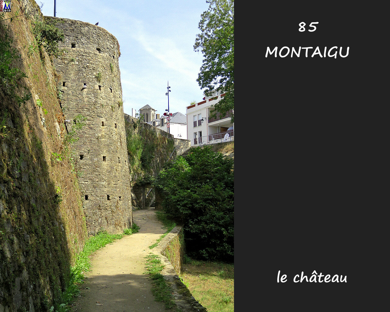 85MONTAIGU_chateau_1036.jpg