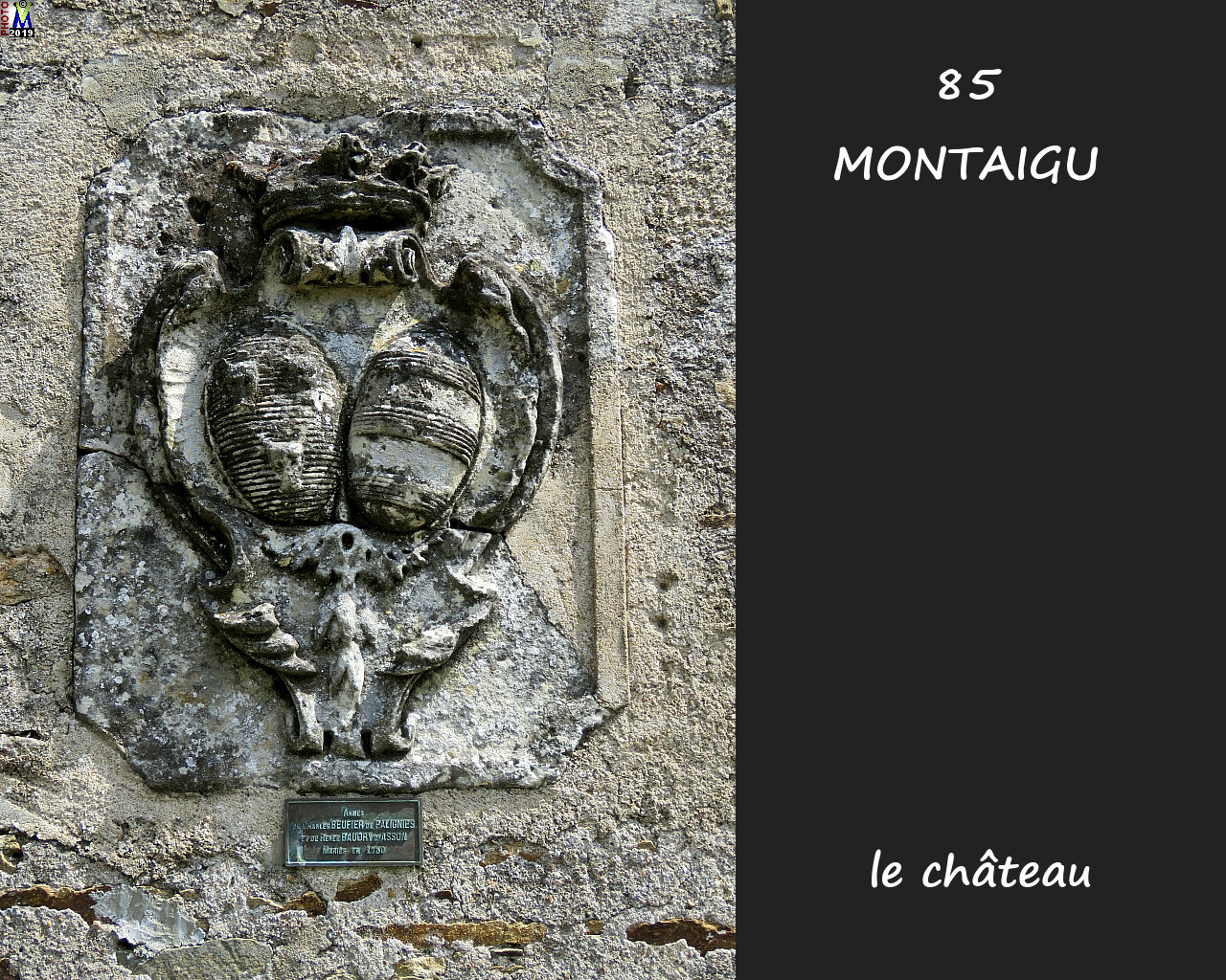 85MONTAIGU_chateau_1056.jpg
