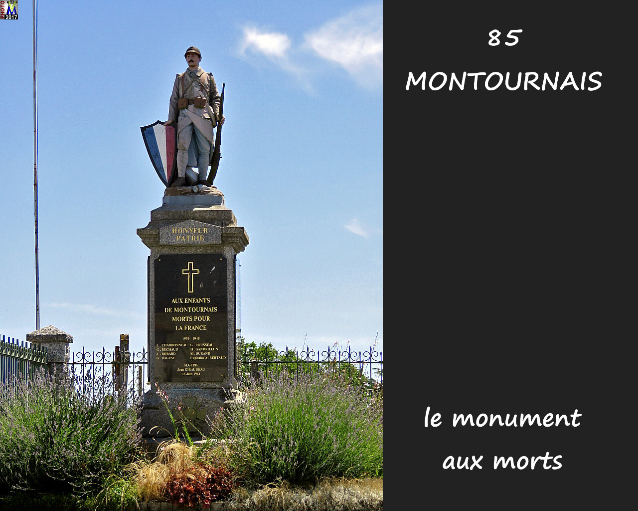 85MONTOURNAIS_morts_1000.jpg