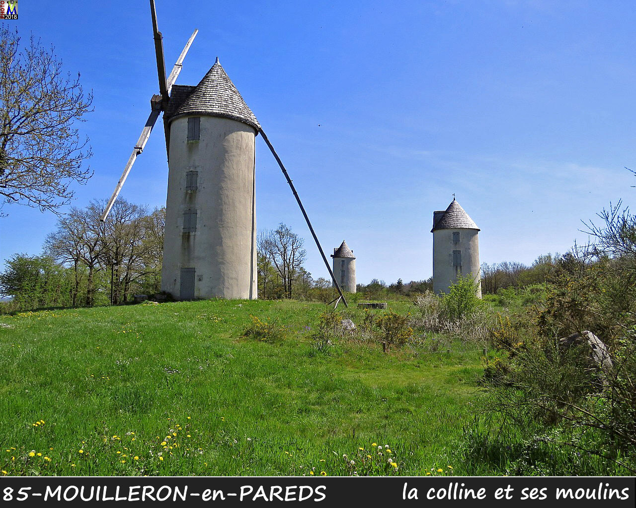 85MOUILLERON-PAREDS_moulins_1000.jpg