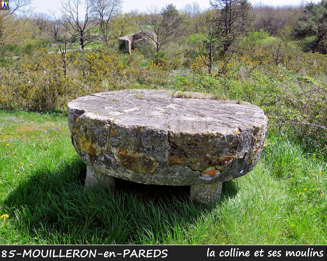 85MOUILLERON-PAREDS_moulins_1030.jpg