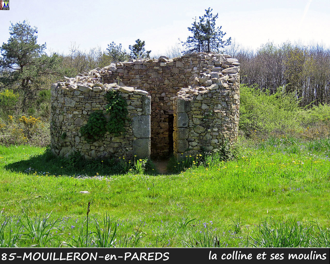 85MOUILLERON-PAREDS_moulins_1032.jpg