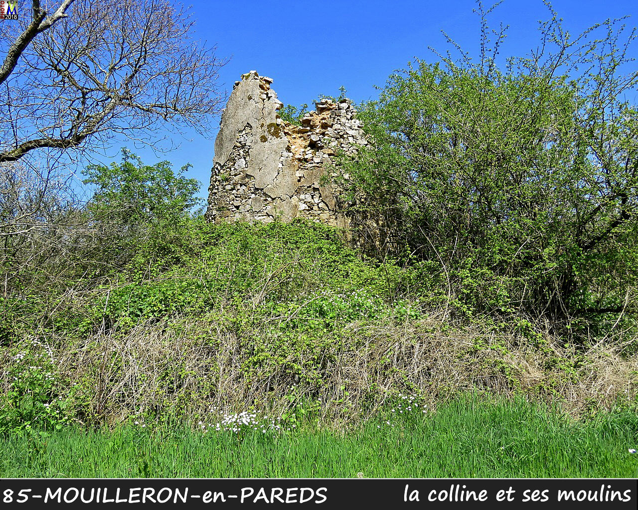 85MOUILLERON-PAREDS_moulins_1036.jpg