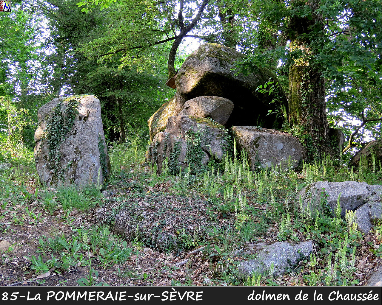 85POMMERAIE-SEVRE_dolmen_1000.jpg