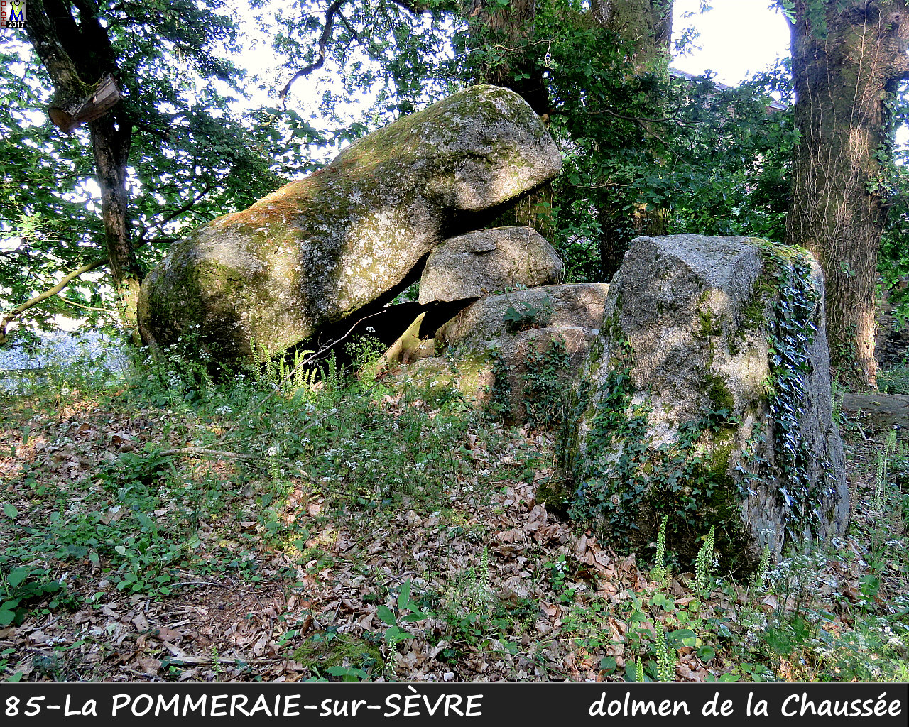 85POMMERAIE-SEVRE_dolmen_1002.jpg