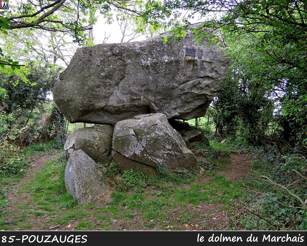 85POUZAUGES_dolmen_1000.jpg