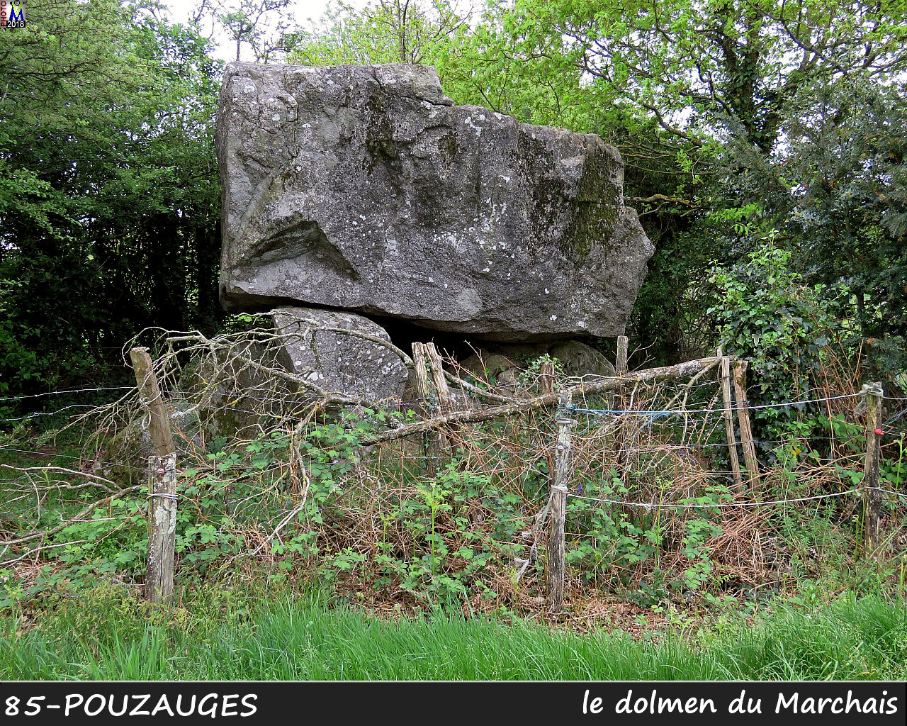 85POUZAUGES_dolmen_1002.jpg